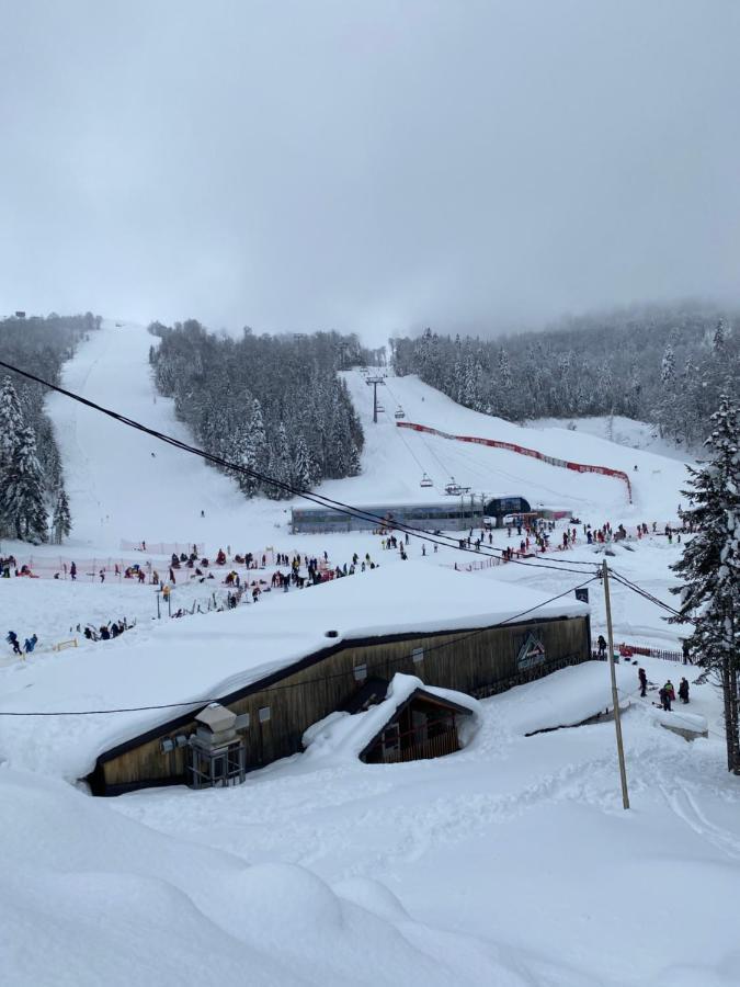 Wild Beauty Apartment-Modern Mountain 2 Kolašin Екстериор снимка