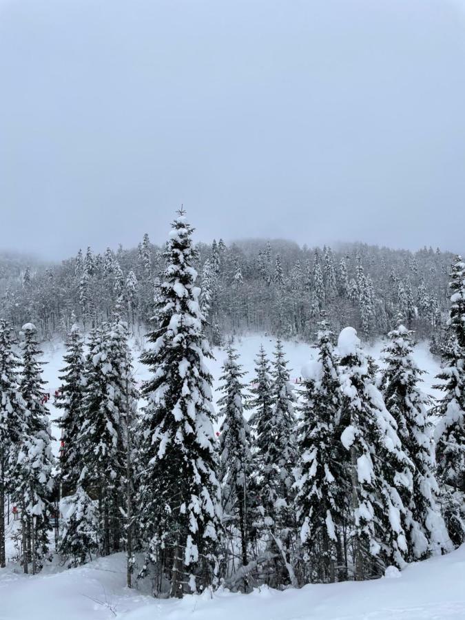 Wild Beauty Apartment-Modern Mountain 2 Kolašin Екстериор снимка